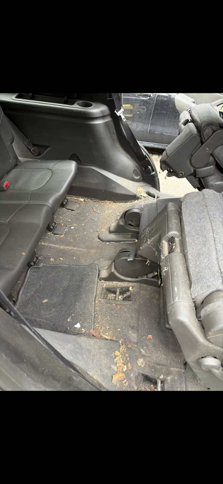 Interior deep clean and cabin reset result - cover